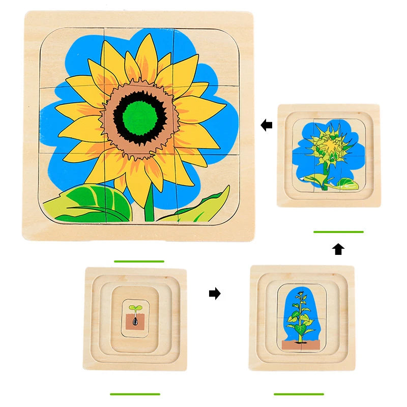 Wonder Grow Animal & Plant Life Cycle 3D Puzzle Set