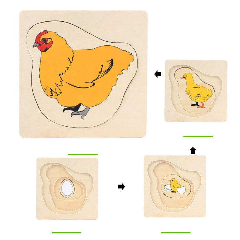 Wonder Grow Animal & Plant Life Cycle 3D Puzzle Set