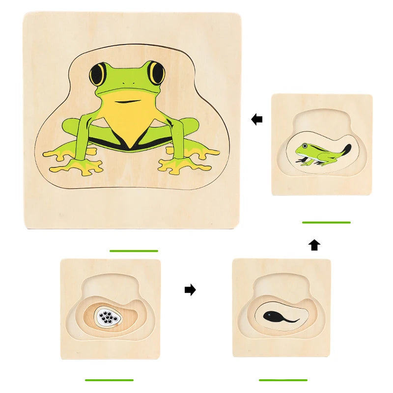 Wonder Grow Animal & Plant Life Cycle 3D Puzzle Set