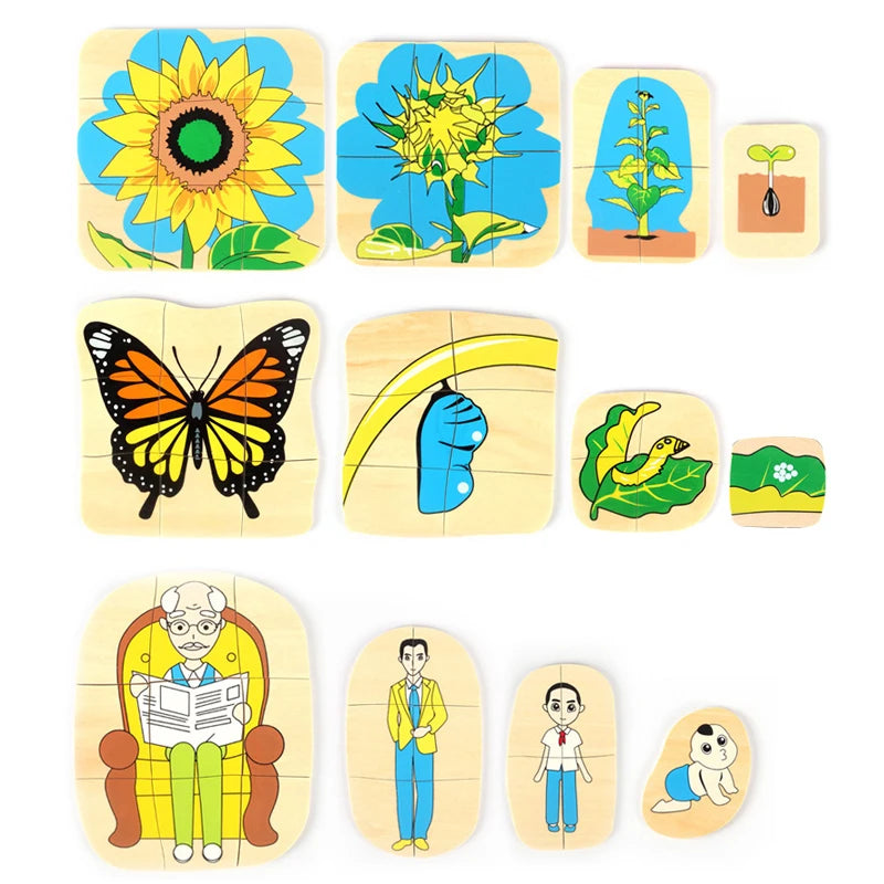 Wonder Grow Animal & Plant Life Cycle 3D Puzzle Set