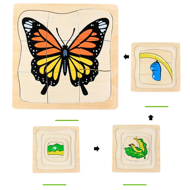Wonder Grow Animal & Plant Life Cycle 3D Puzzle Set
