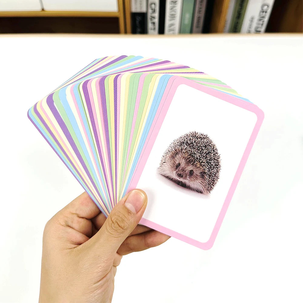 Little Explorer Animal Picture Learning Card Set