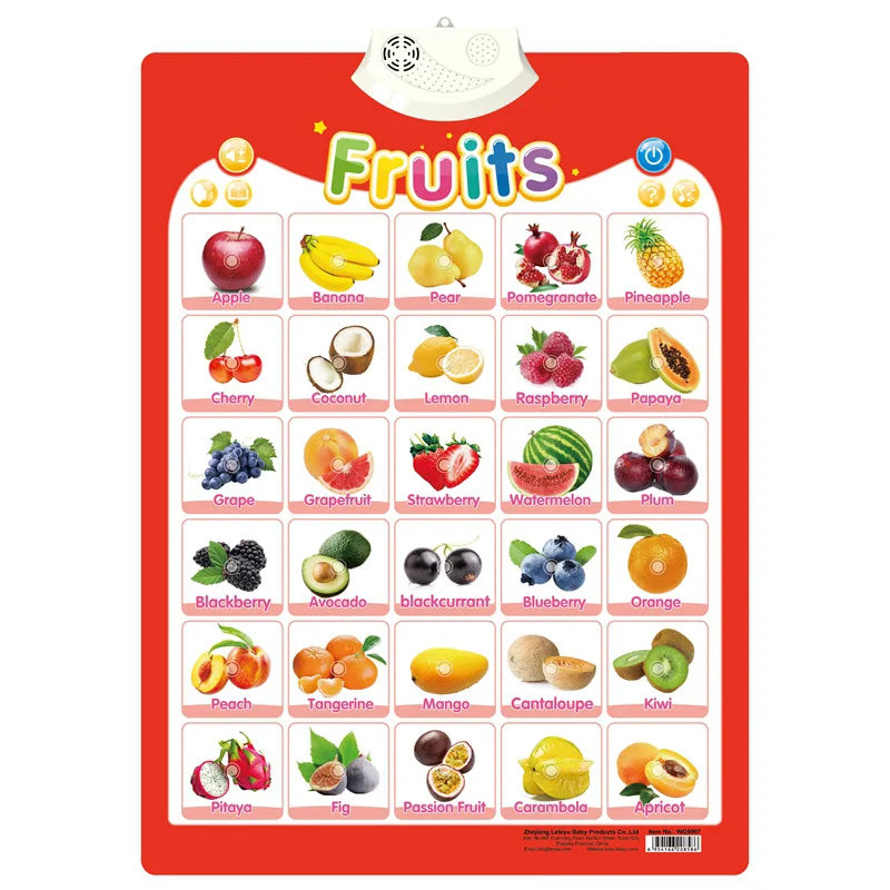 Point & Learn English Talking Interactive Educational Wall Chart