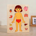 Human Body Montessori Puzzle Teaching Aid Set