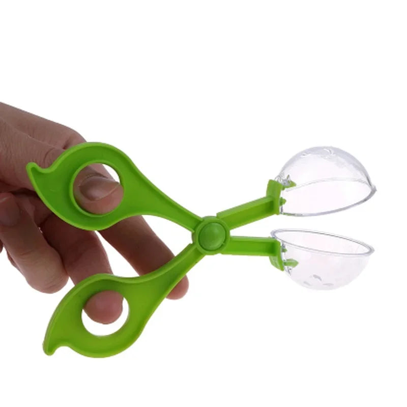 Outdoor Bug Explorer Catcher Tool Set