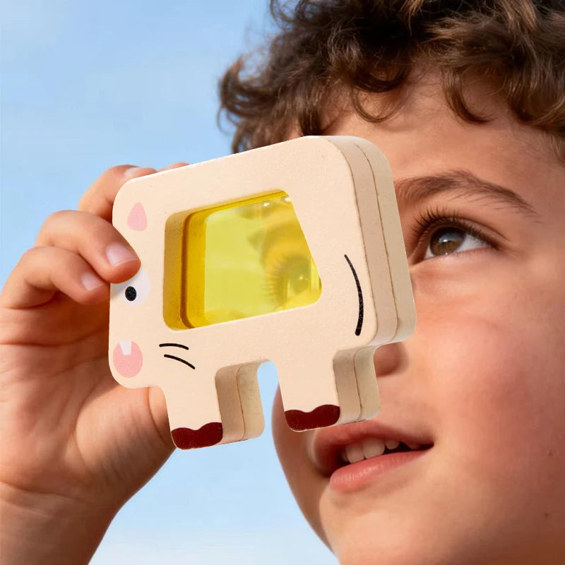 Wooden Animal Acrylic Shape Match Balance Stack Puzzle Set