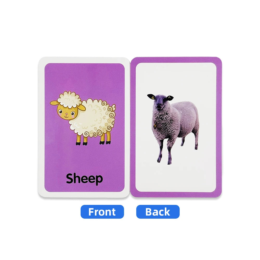 Little Explorer Animal Picture Learning Card Set