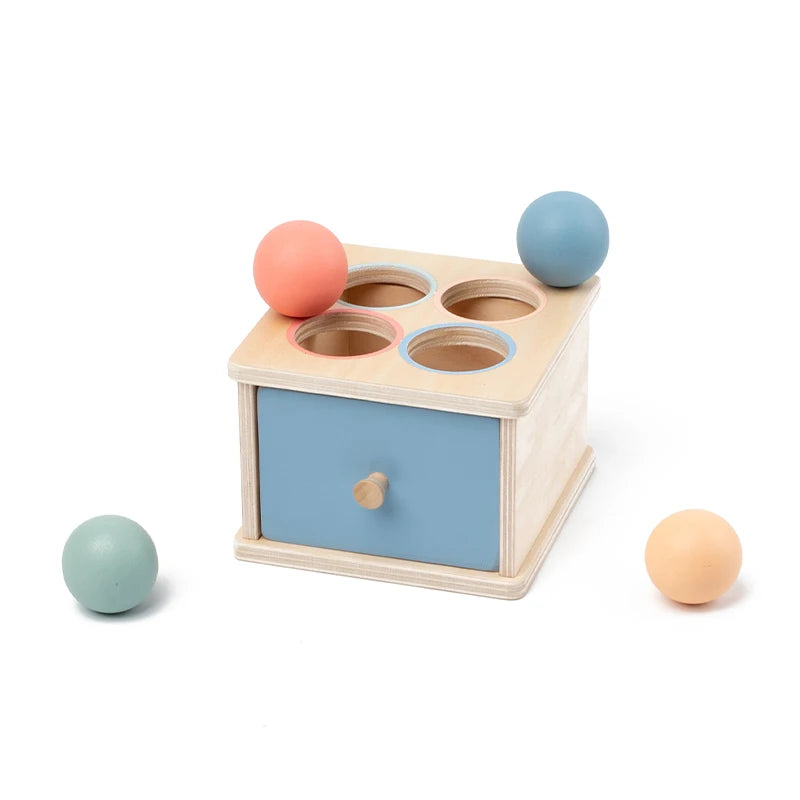 Shape Color Sorting Wooden Drawer Match Set