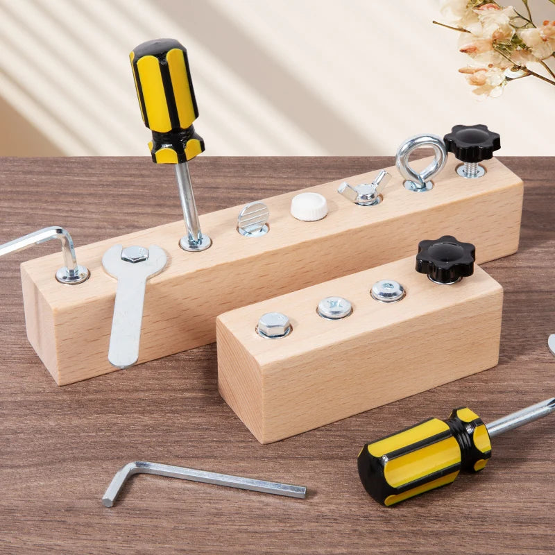 Little Engineers Wooden Screw Nut Disassembly Montessori Set