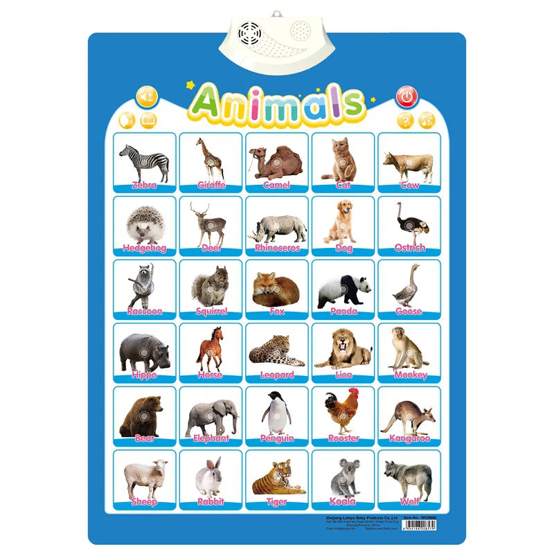 Point & Learn English Talking Interactive Educational Wall Chart
