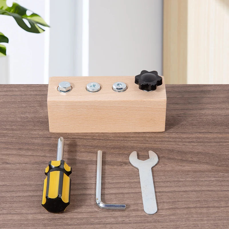 Little Engineers Wooden Screw Nut Disassembly Montessori Set