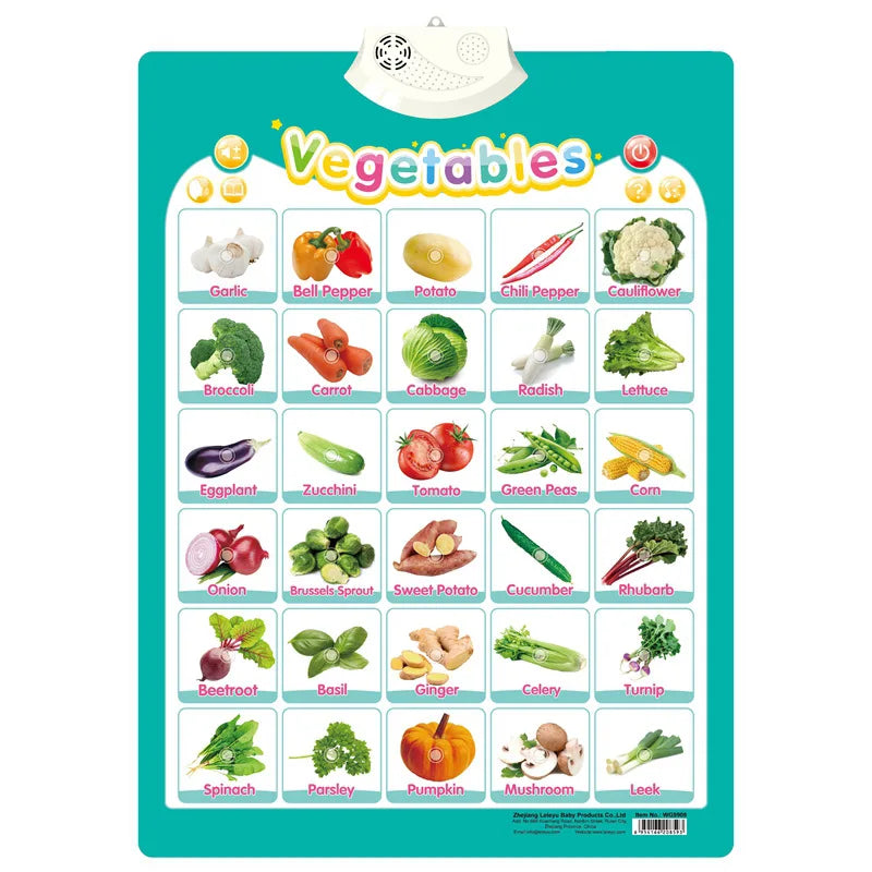 Point & Learn English Talking Interactive Educational Wall Chart