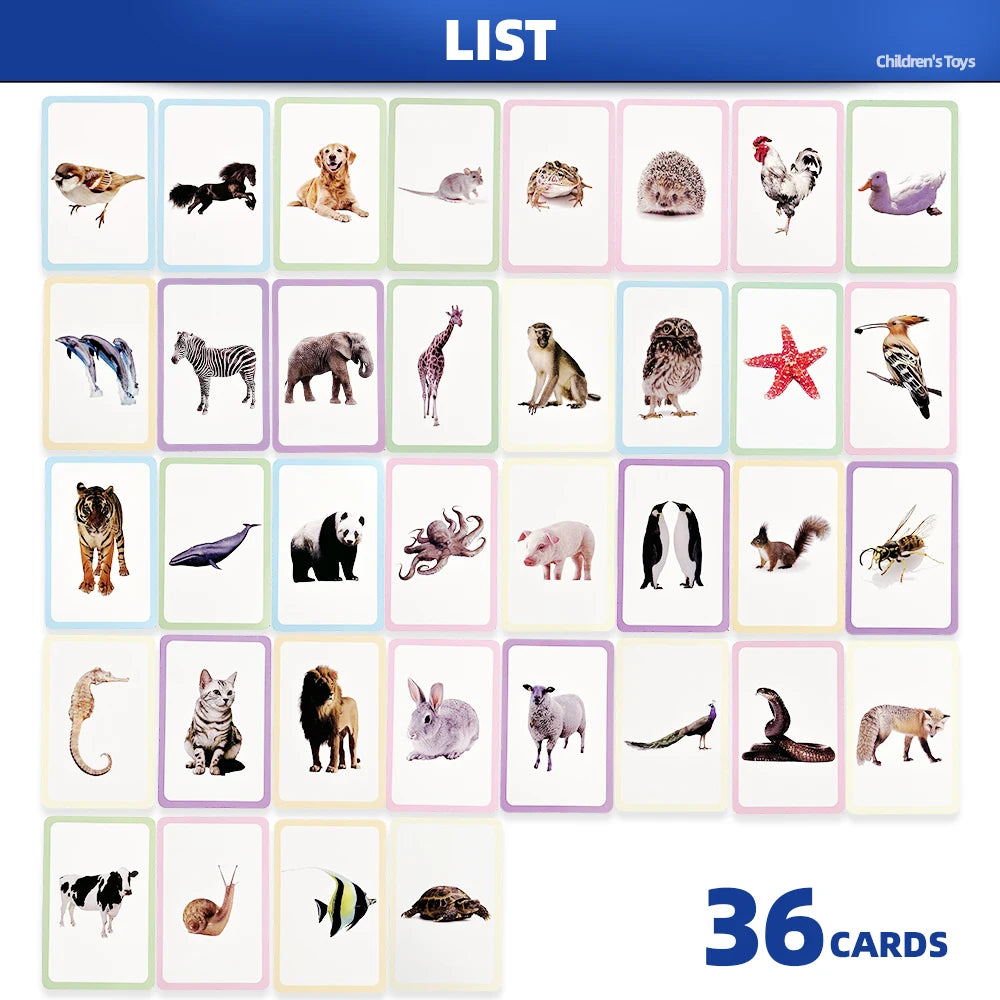 Little Explorer Animal Picture Learning Card Set