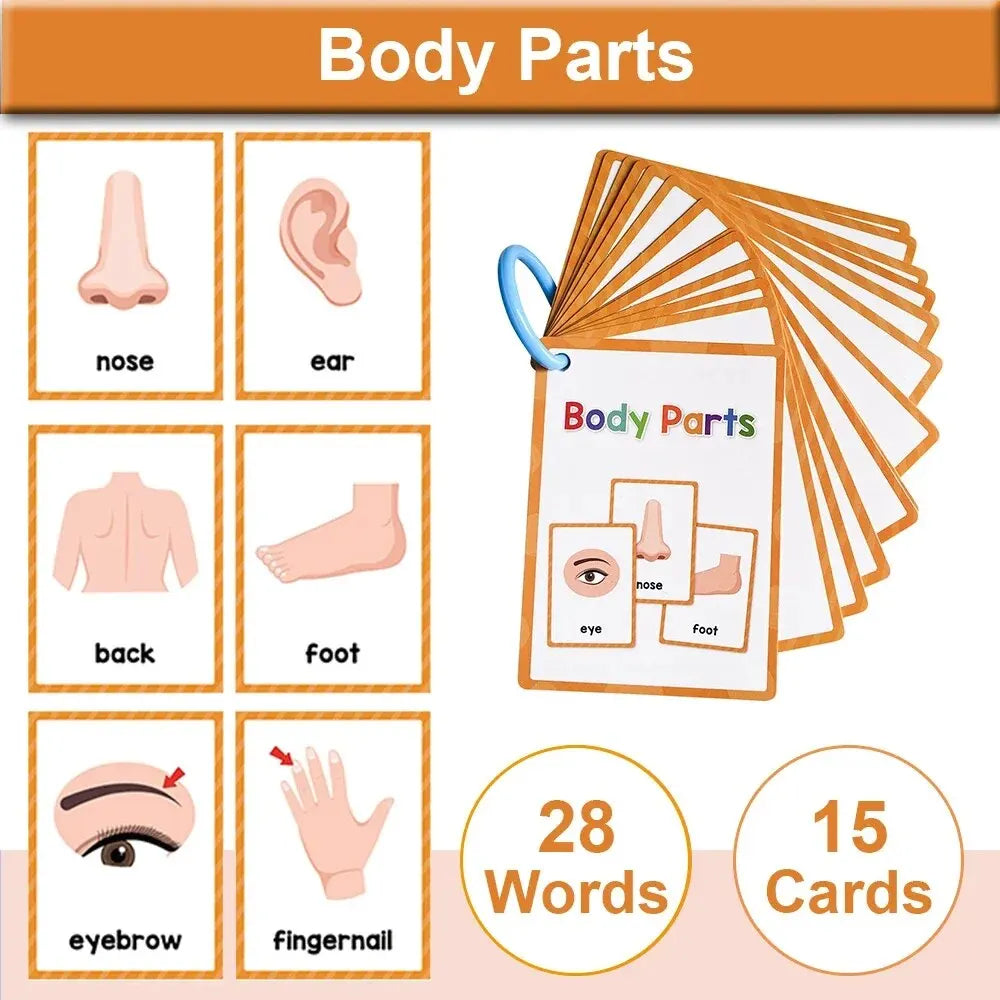 Little Learners Montessori Cards