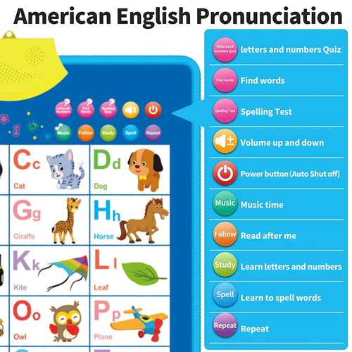 Electronic Talking Wall Chart