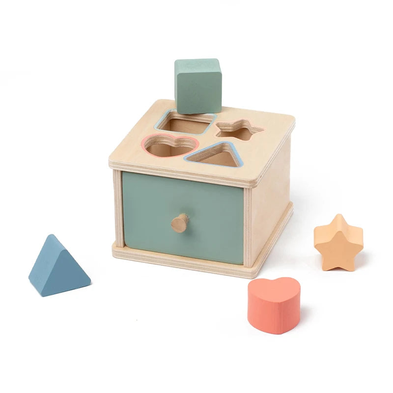 Shape Color Sorting Wooden Drawer Match Set
