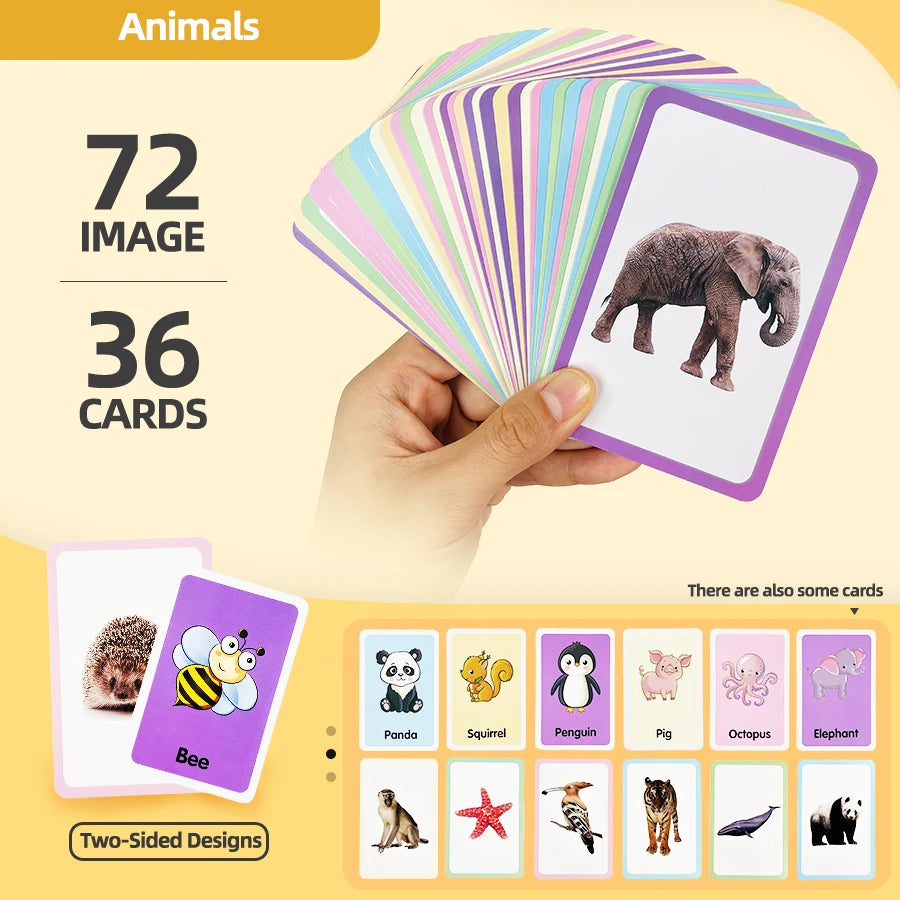 Little Explorer Animal Picture Learning Card Set