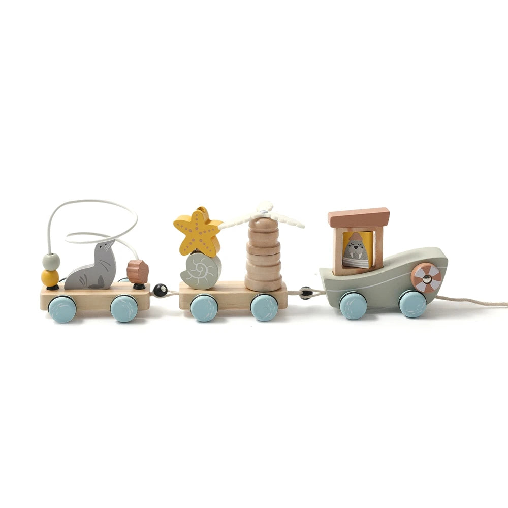 Wonder Train Montessori Baby Toy