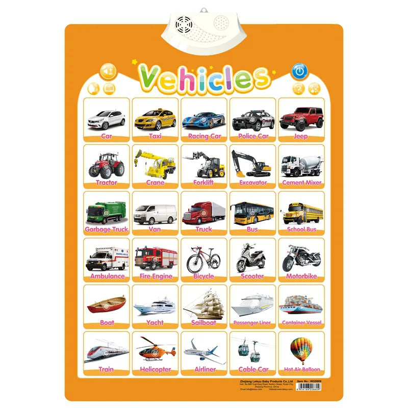 Point & Learn English Talking Interactive Educational Wall Chart