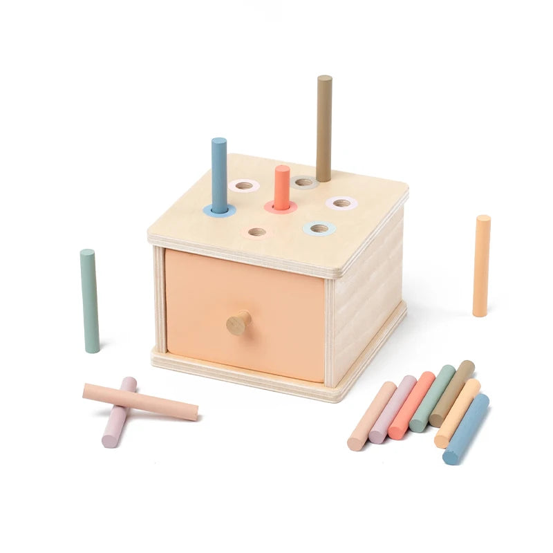 Shape Color Sorting Wooden Drawer Match Set