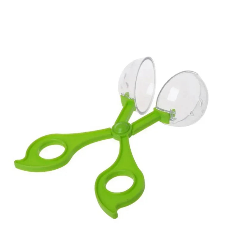 Outdoor Bug Explorer Catcher Tool Set