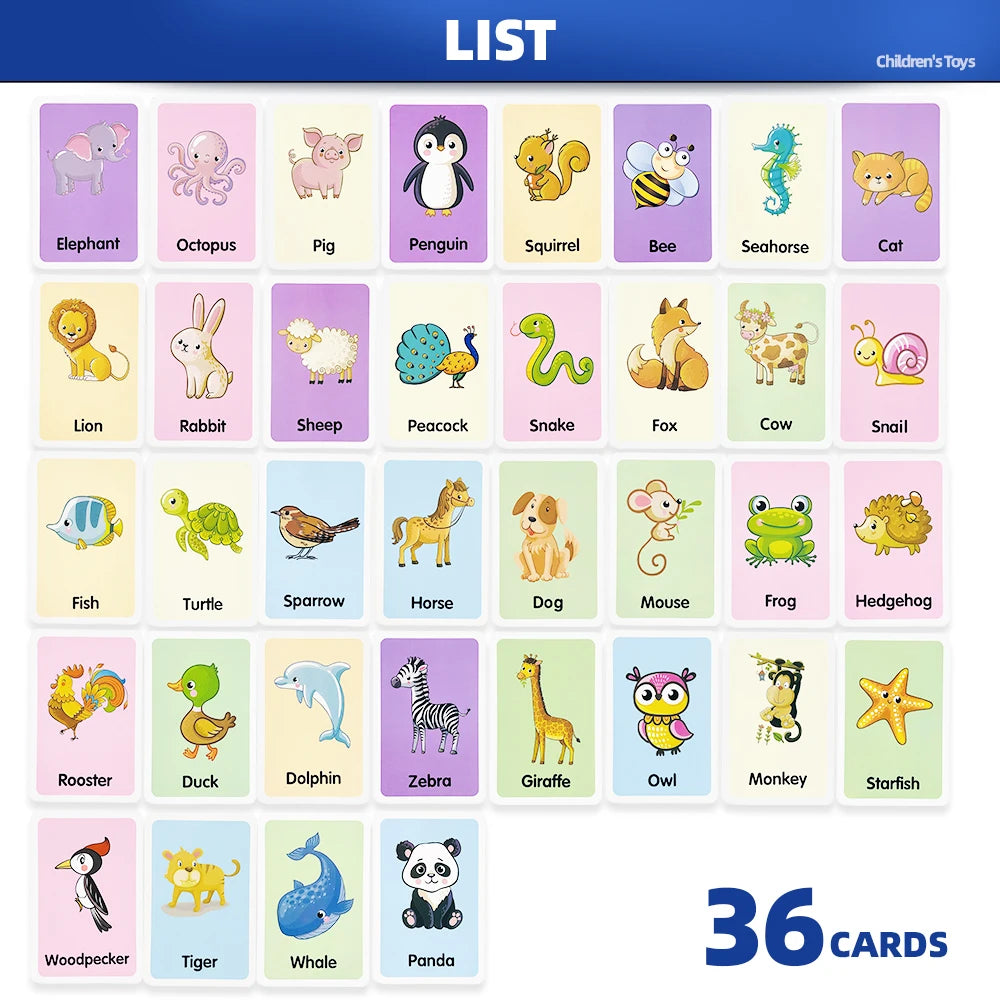 Little Explorer Animal Picture Learning Card Set