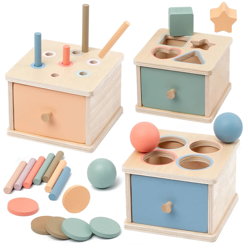 Shape Color Sorting Wooden Drawer Match Set